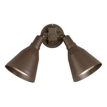 Flood Light