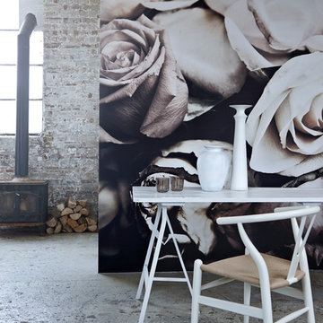 Murals