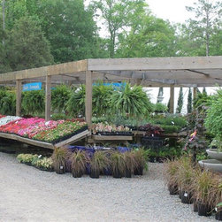 Gallery - Gardening And Lawn Care