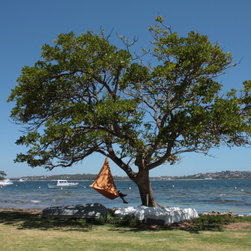 Cacoon - Single - Mango Orange - Hammocks And Swing Chairs