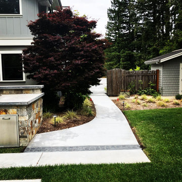 Concrete driveway and walkways