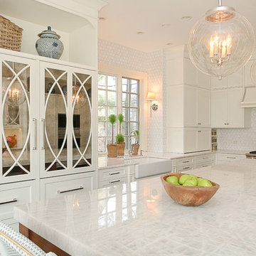 Simply Beautiful: Hinsdale Transitional