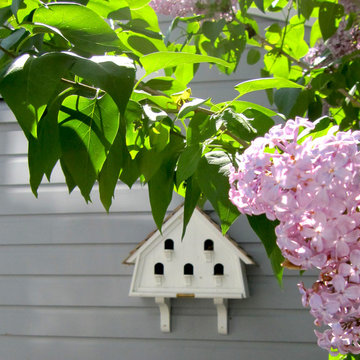 Beach House