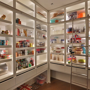 Mid-sized modern kitchen pantry appliance - Mid-sized minimalist l-shaped medium tone wood floor kitchen pantry photo in Columbus with an undermount sink, flat-panel cabinets, white cabinets, solid surface countertops, white backsplash, paneled appliances and no island