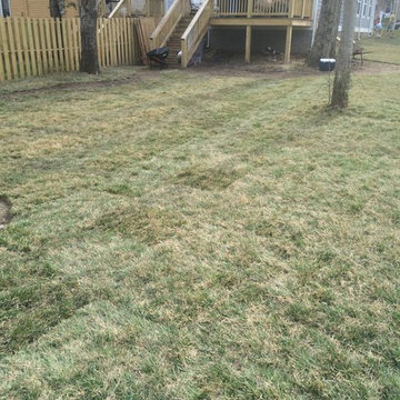Our Work