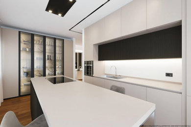 This is an example of a modern kitchen in Other.