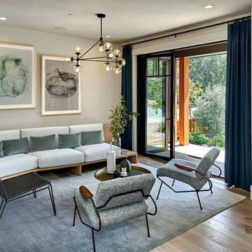 Contemporary Living Room