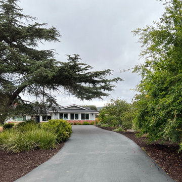 California Ranch Transitional Remodel