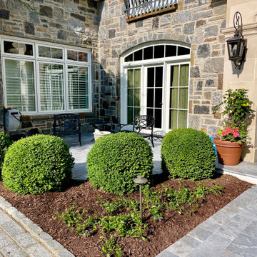 Spring and Summer Annuals Landscape Beds