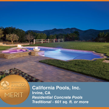 2014 APSP International Awards of Excellence