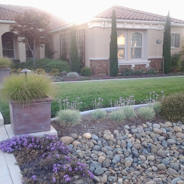 Elk Grove Residence