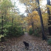 Sara Phillips's photo