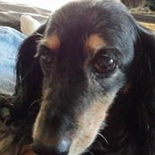 Barry Libenson's photo