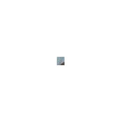 Vanessa's photo