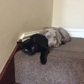 Andrew Thomas's photo