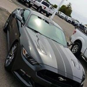 Michael Martin's photo