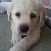 Missy Haggerty's photo