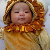 Trần Hiếu's photo