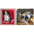 admin@12345's profile photo