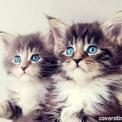 Sheila Downs's photo