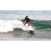 Amy Sajer's photo