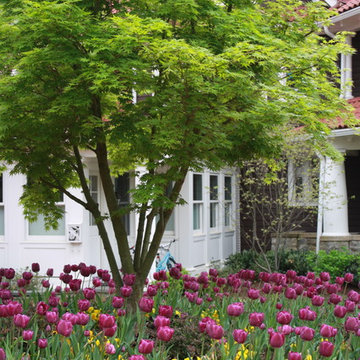 Cleveland Park Dream Garden