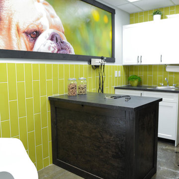 Guildford Animal Hospital