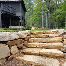 Backyard Landscaping