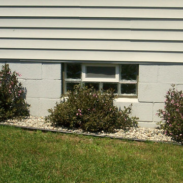 Basement Windows