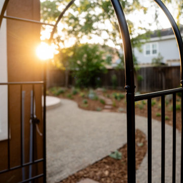A Glimpse into the Garden Beyond
