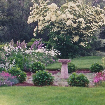 Perennials in bloom