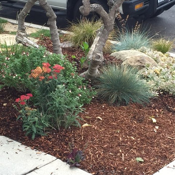 Garden for Reflection and Awareness