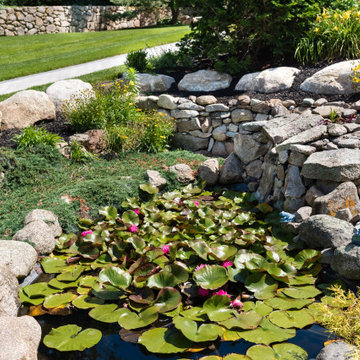 Pond