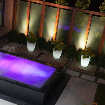 Modern Contemporay Landscape