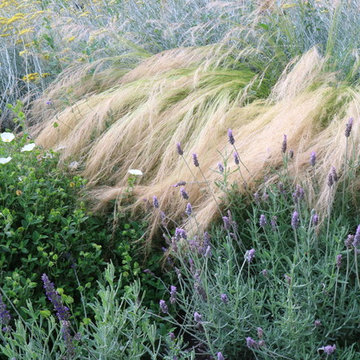 Giardino naturale
