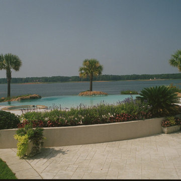 Oasis