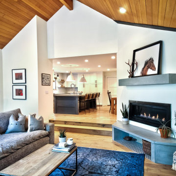 Addition / Full Remodel