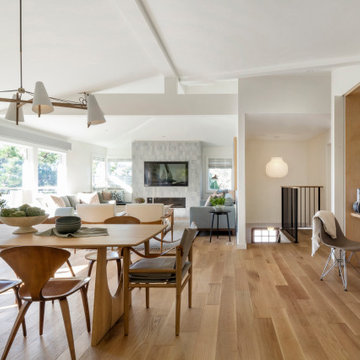 Tiburon Modern