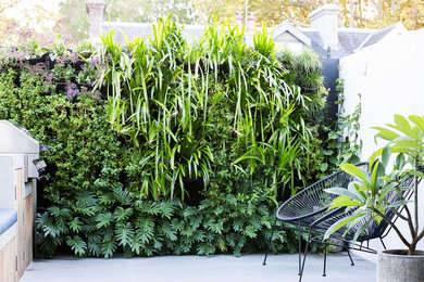 Design ideas for a contemporary landscaping in Sydney.