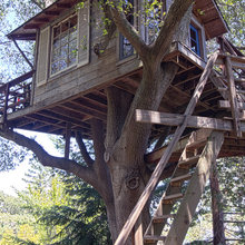 tree house