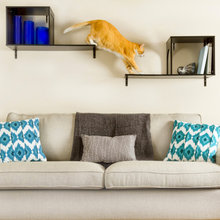 cat furniture