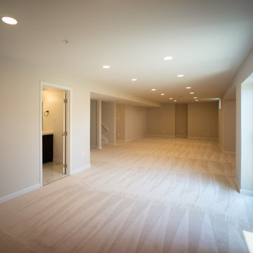 New Market Basement Finish
