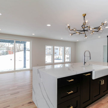 Modified Parker IV | Naperville, IL