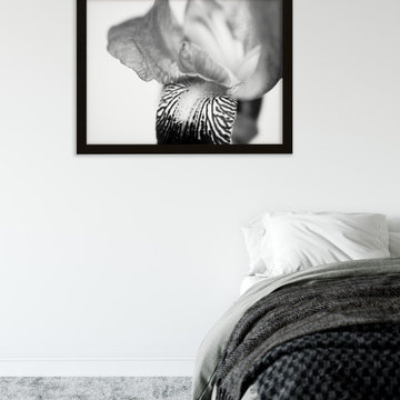 Bold Iris on White Floral Botanical Nature Photograph Wall Art
