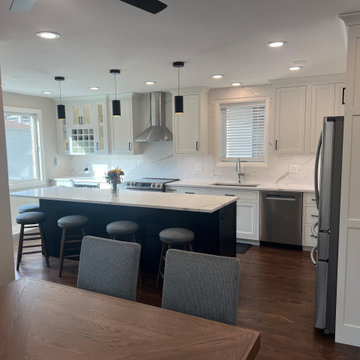 Chicago Kitchen/Dining Renovation