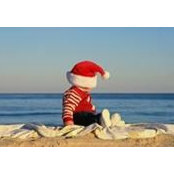 Robin Pavlik Patton's photo