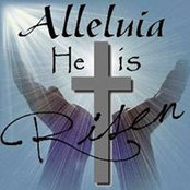 Cheryl Yacono's photo