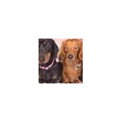 Rita Robertson's photo