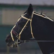 Kimberly Rinker's photo