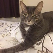 Wendy Styant's photo